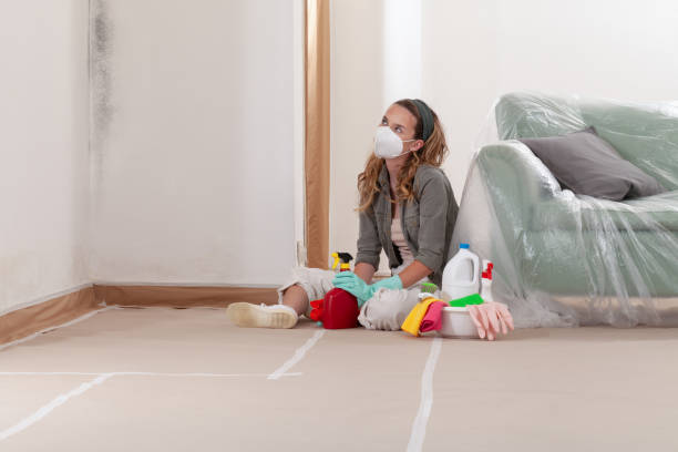 Reliable Mold Inspection contractor in Burkittsville, MD by WQB Mold Removal